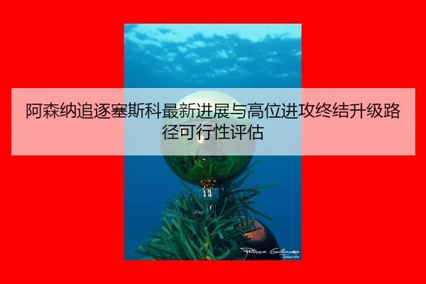 a-sen-na-zhui-zhu-sai-si-ke-zui-xin-jin-zhan-yu-gao-wei-jin-gong-zhong-jie-sheng-ji-lu-jing-ke-xing-xing-ping-gu-2-121.jpg