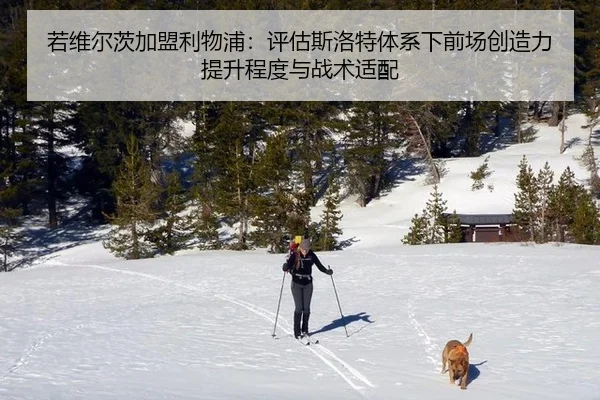 若维尔茨加盟利物浦：评估斯洛特体系下前场创造力提升程度与战术适配